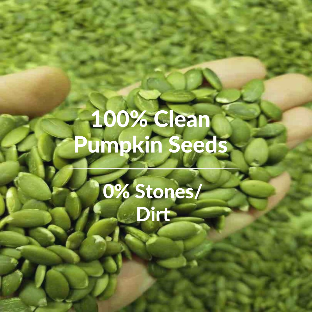 PUMPKIN SEEDS