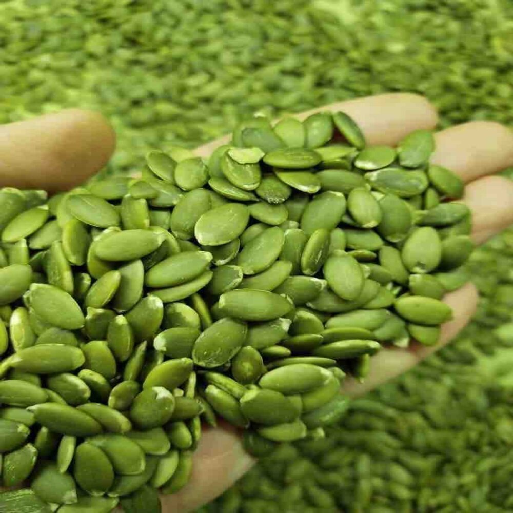 PUMPKIN SEEDS